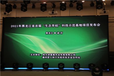 黑龙江省首届“生态旱稻”科技示范基地项目发布会
