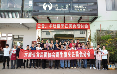 云南食用菌美食文化网红直播带货专场