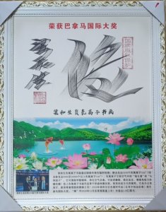 鷨ͨŷ˻