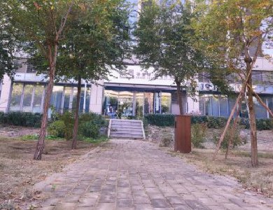 房山这家藏在“小树林”里的书店,值得打卡一整天