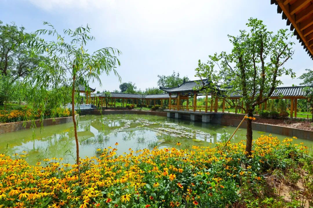 2.3万元!中宁县丰安屯旅游度假区开园重金征集广告语