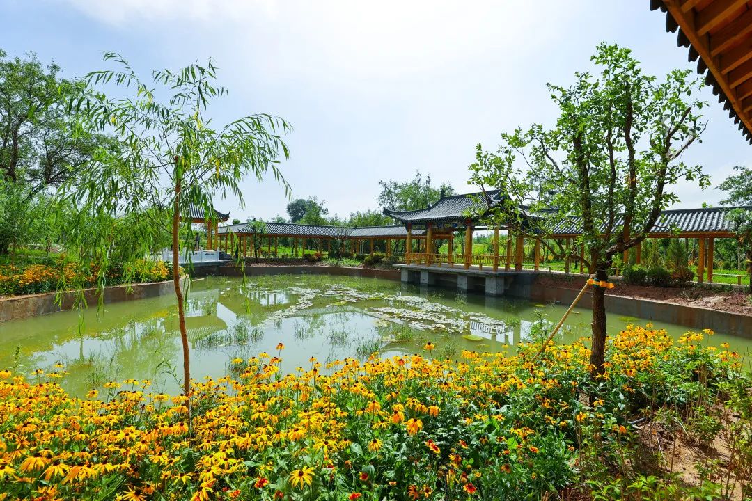 2.3万元!中宁县丰安屯旅游度假区开园重金征集广告语