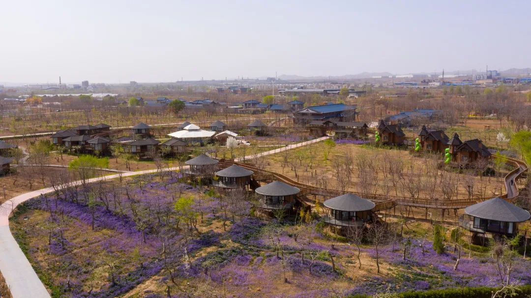 2.3万元!中宁县丰安屯旅游度假区开园重金征集广告语