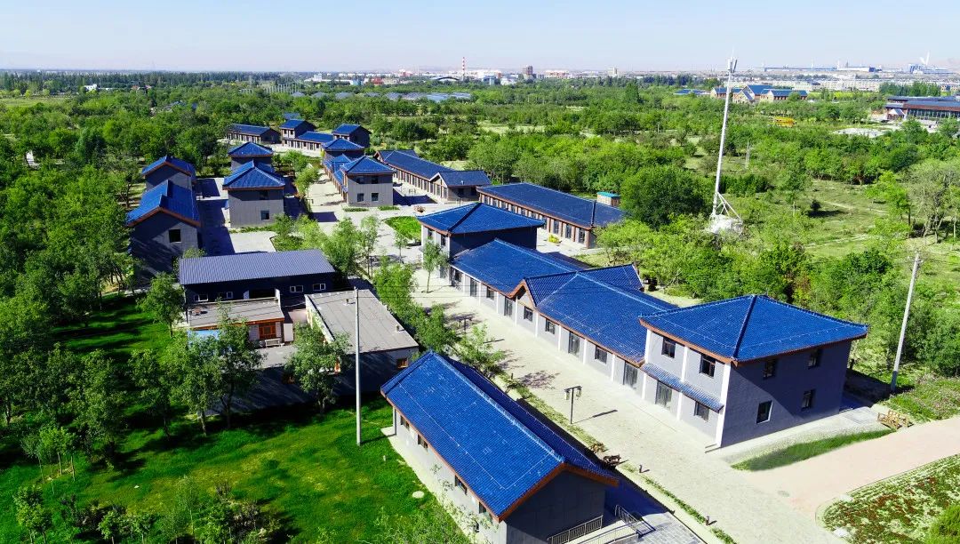 2.3万元!中宁县丰安屯旅游度假区开园重金征集广告语