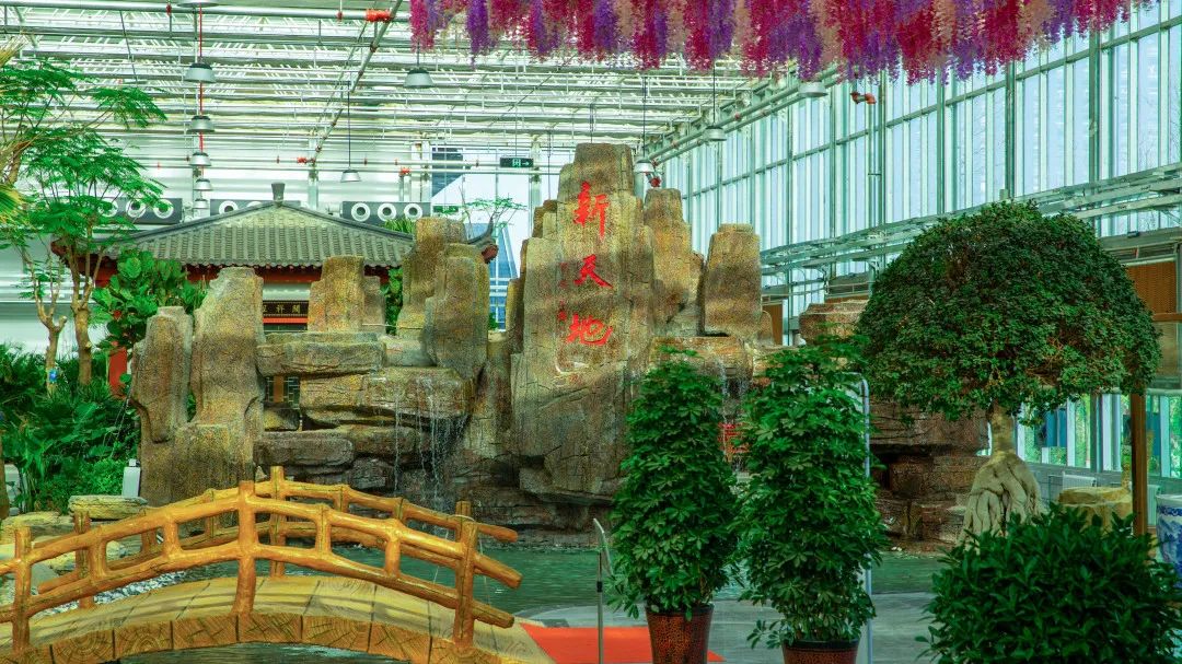 2.3万元!中宁县丰安屯旅游度假区开园重金征集广告语