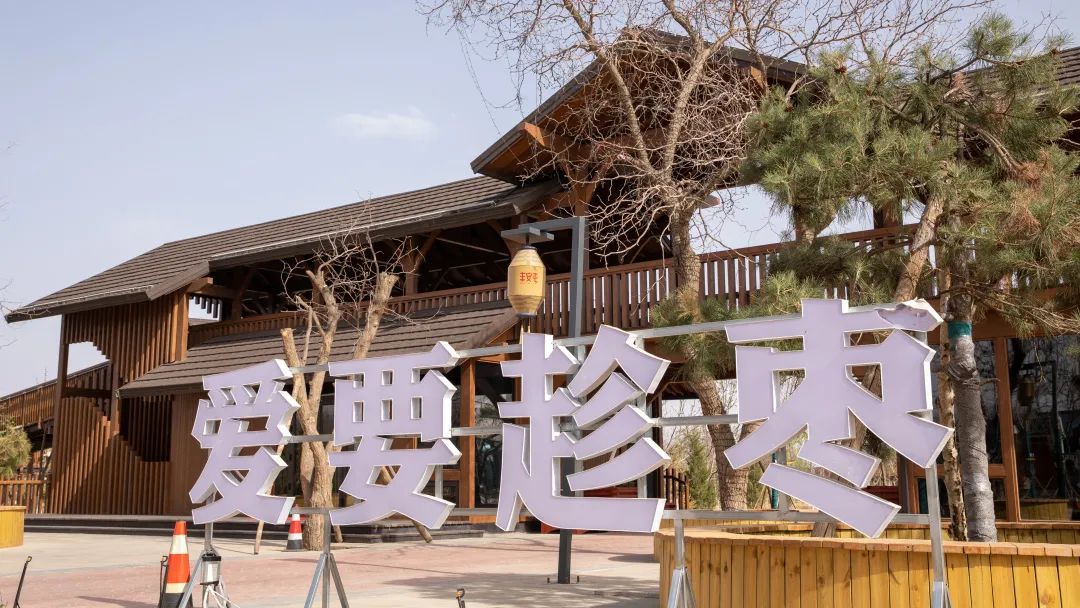 2.3万元!中宁县丰安屯旅游度假区开园重金征集广告语