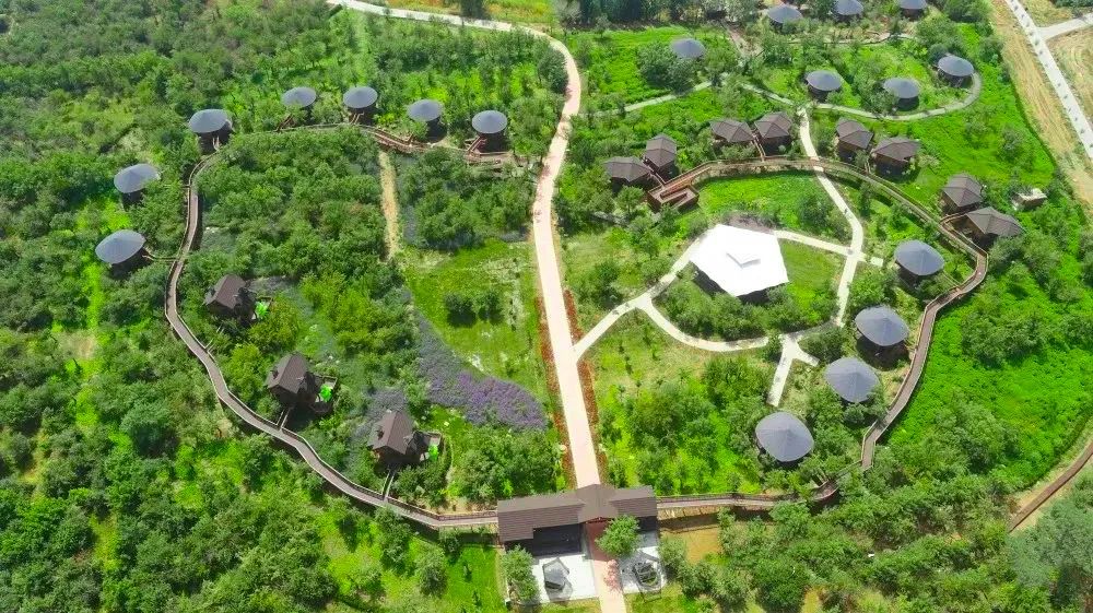 2.3万元!中宁县丰安屯旅游度假区开园重金征集广告语