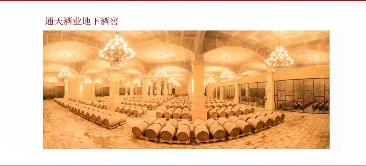 通天知己城市连锁小酒馆项目正式启动