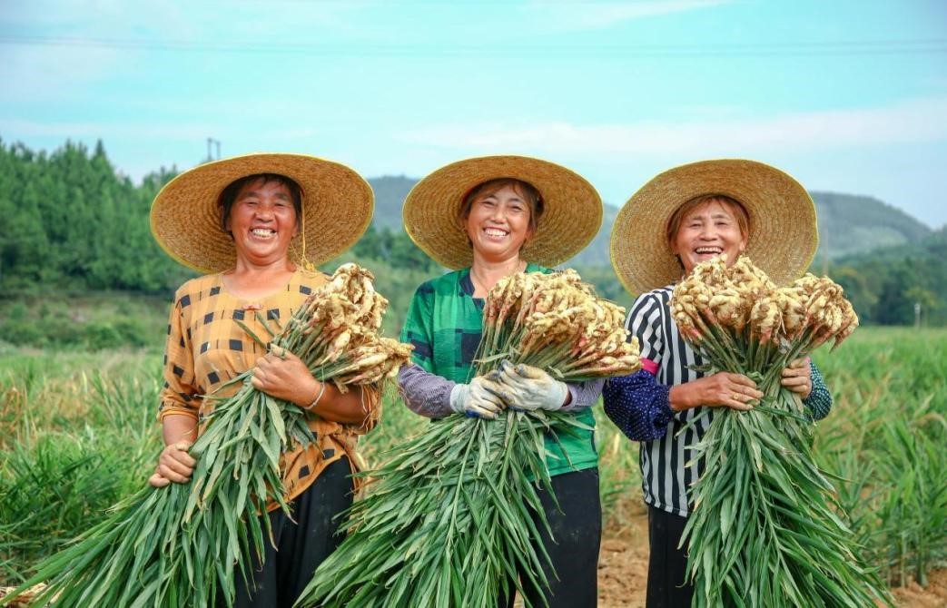 http://www.chinajingji.cn/uploads/allimg/240322/1R13S3c-3.jpg