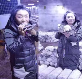 http://www.chinajingji.cn/uploads/allimg/240425/1503443a3-2.jpg