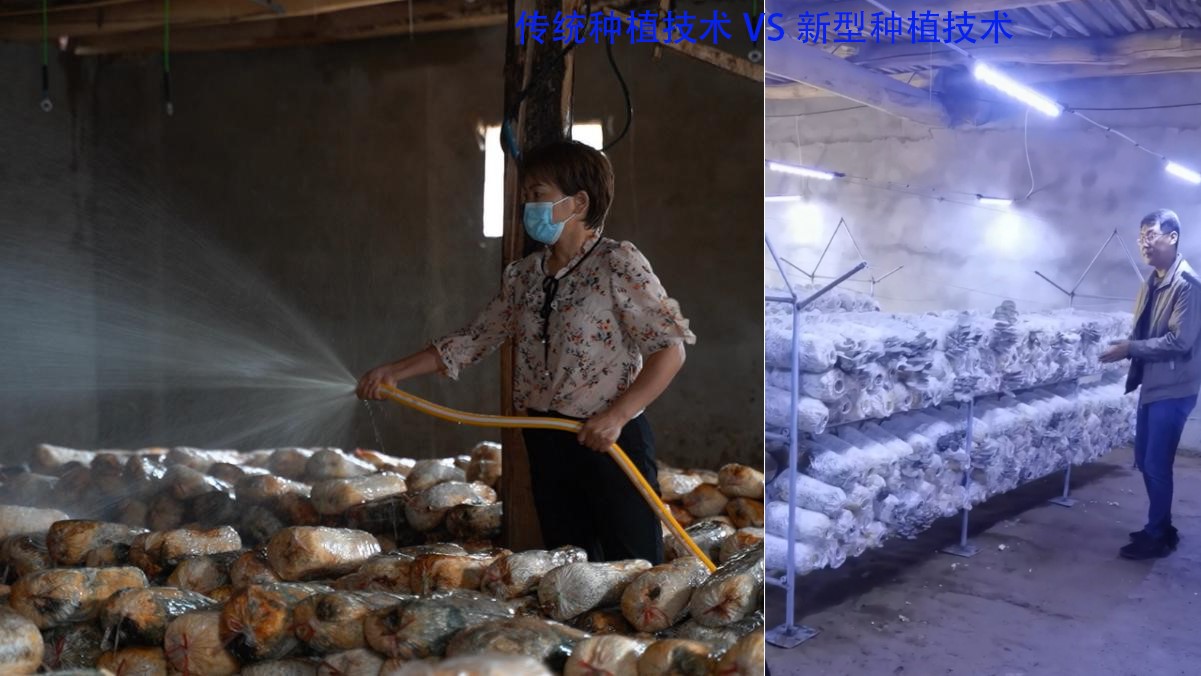 http://www.chinajingji.cn/uploads/allimg/240425/15034460D-1.jpg