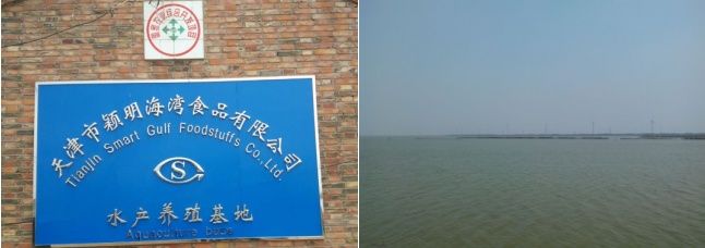 http://www.chinajingji.cn/uploads/allimg/241219/1115434629-3.png